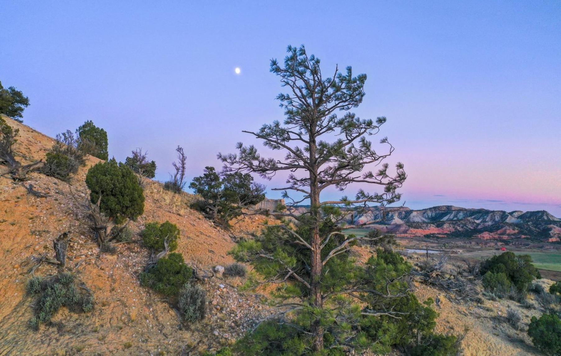 Clear Sky Resorts - Bryce Canyon - Unique Stargazing Domes Cannonville Dış mekan fotoğraf